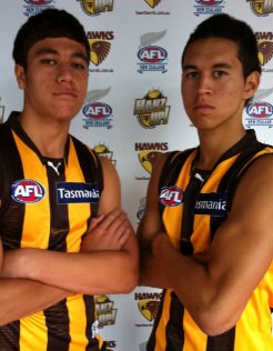 HawksNZ246a.jpg